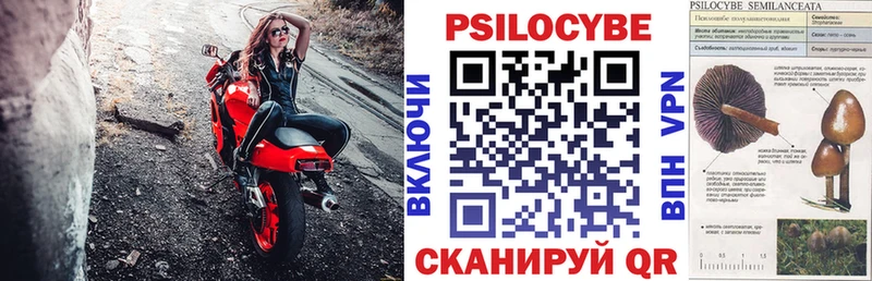 Галлюциногенные грибы мицелий Белоярский